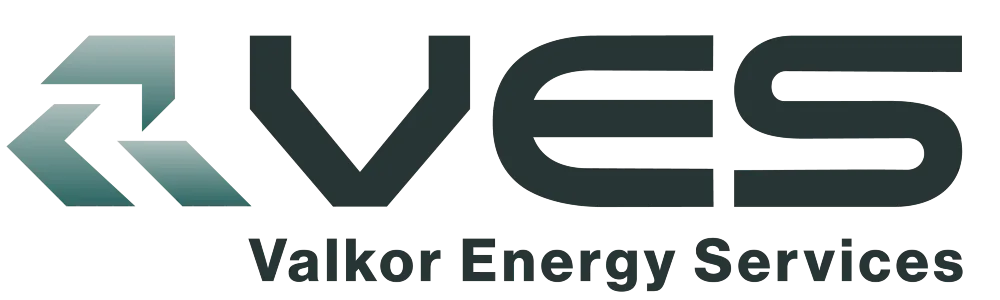 Logos VES PNG 01 (1)