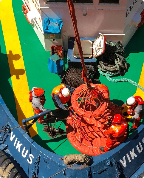 Rectangle 35 (2) (1)